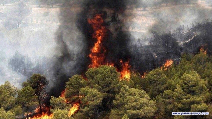 إيران تطلق نداء استغاثة دولي لإخماد حرائق مازندران المشتعلة منذ أسابيع